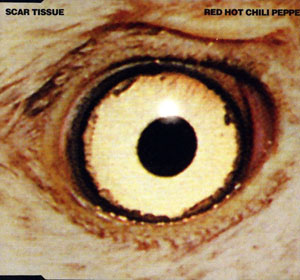 Red Hot Chili Peppers | Scar Tissue